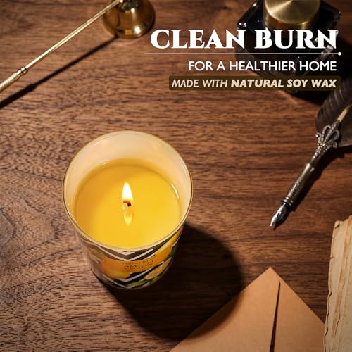 HomeLights Large jar Candle | 1-Wick Long-Lasting Scented Candles, 6.7oz Natural Soy Wax Candle for Home Scented, Eclectic Mixed Styles Gifts for Women & Men, Amalfi Lemon - color: Amalfi Lemon