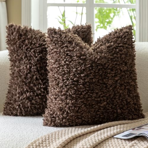 2 Pieces 24x24 Inch Chocolate Faux Fur Throw Pillow Covers Boucle Decorative Sherpa Pillow Covers Thick Fuzzy Fleece Pillowcases Cushion Covers for Sofa Couch Bed Living Room - color: Chocolate, size: 24" x 24" (Pack of 2)