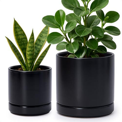 D'vine Dev 2-Pack Ceramic Pots with Saucers, Black, 4/6 in, 94-G-S-2 | Glazed Ceramic, Drainage Hole, Perfect-Fit Saucer, Sleek Cylinder Shape, High Temperature Fired, Elegant Home Accent - color: Black, size: Small