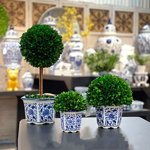 Galt International 7" Naturally Preserved Real Boxwood Ball in Hand-Painted Blue & White China Pot Planter Green Indoor Plant Home Decor (Small 7" Tall Topiary) - size: Small 7"