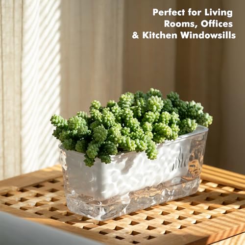 Self Watering Pots for Indoor Plants, 2 Packs Window Boxes Planters Rectangle Self Watering Planter 11 in Rectangular Clear Plant Pots Long Herb Windowsill Planter Flower Box Succulent Planters