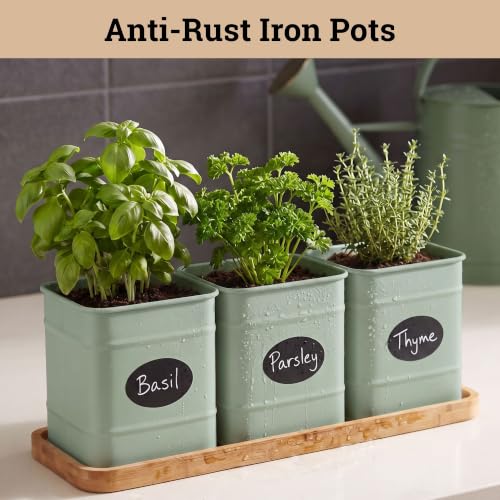 Herb Planter Indoor, 3-pc Herb Pots w/ Drainage Holes, Bamboo Tray & Labels | Iron Herb Pots, Varnished Bamboo Tray with Anti-Skid Base, Customizable Oval Sticker and Stick Labels & Chalkboard Marker Pen - color: Sage Green