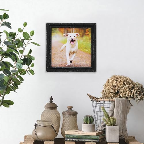 8x8 Picture Frame Made of Solid Wood High Definition Glass Rustic Antique Designs Small Photo Frame for Tabletop Display and Wall Mounting, Distress Black - color: Distress Black B, size: 8" X 8"