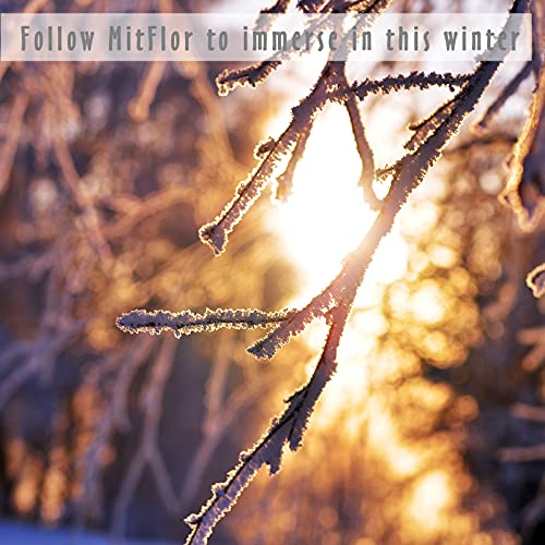Fragrance Oils, MitFlor Winter Essential Oils for Diffusers for Home, 6 x10ml, Soap & Candle Making Scents, Premium Holiday Aromatherapy Gift Set -Frosty Fir, Hot Spring, Fireplace & More
