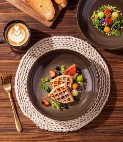 LERATIO 9.0" Ceramic Pasta Bowls Set of 4,38oz Large Stoneware Bowls Set | Reactive Glaze Serving Bowls Set,Wide Bowl for Pasta,Salad,Fruit & Noodles,Housewarming & Wedding Gift-Chestnut - color: Coffee, size: Set of 4
