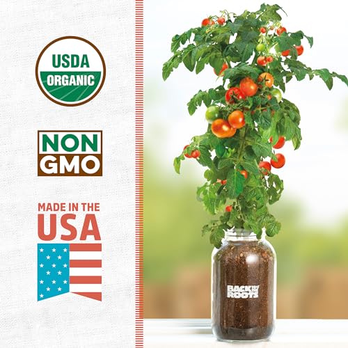 Back to the Roots Cherry Tomato Organic Windowsill Planter Kit - Grows Year Round, Includes Everything Needed For Planting - style: Tomato