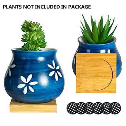 Cute Succulent Pots with Drainage Bamboo Tray - 3" Succulent Planters with Drainage Hole Ceramic Planter Tiny Pots for Indoor Small Plants, Small pots for Succulents Cactus Container Set of 6 - color: Blue-6pcs
