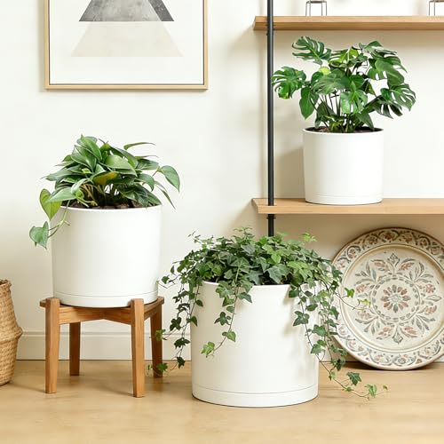 Large Plant Pots Set of 3 – 8", 9", 10" Indoor Flower Pots with Drainage Holes and Saucers, Big Planters for Monstera, Fiddle Leaf Fig, Snake Plant – 5 Colors - color: White