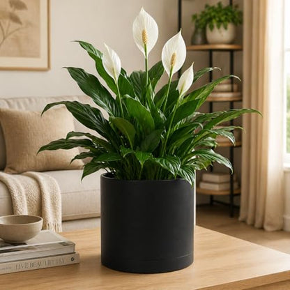 Giraffe Creation 12 Inch Cylinder Plant Pot, Modern Round Planter with Drainage Holes and Saucer, Lightweight Plastic Flower Pot for Indoor Outdoor Plants, Black - color: Black 12 Inch
