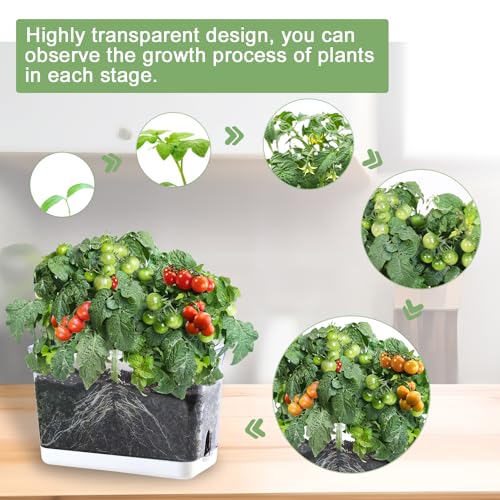 4pk Self-Watering Windowsill Planters, Clear Plastic w/Drainage Holes | 7.8"x5.4"x4", Rectangular Flower Pots, Plant Growth Observation Box for Kids