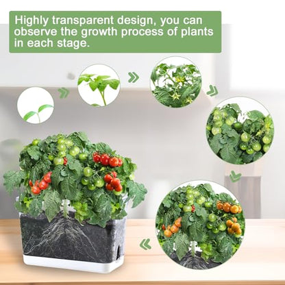 4pk Self-Watering Windowsill Planters, Clear Plastic w/Drainage Holes | 7.8"x5.4"x4", Rectangular Flower Pots, Plant Growth Observation Box for Kids