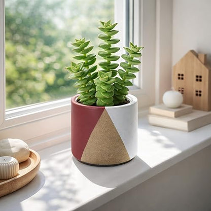 D'vine Dev 2-Pack Cachepot with Clear Pot, 4.5 in, Crimson Dune, 93-V-B-4 | Dual-Pot System, Root Visibility, Bottom Watering Support, Enhanced Drainage, Artistic Stoneware Design, Easy Plant Care - color: Crimson Dune, size: 4.5” Cachepot + 4“ Clear Grow