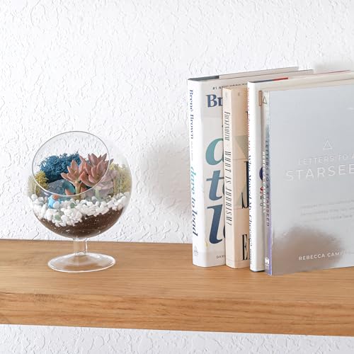 Creations by Nathalie DIY 6" Chalice Terrarium Kit Build Your Own Glass Terrarium for Adults & Teens, DIY Terrarium Kit with Live Moss, Crystals, Soil (Plant Not Included) | DIY chalice glass terrarium kit with moss and tools, including supplies for creat