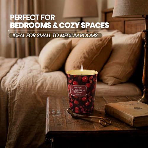 HomeLights Soy Wax Candles for Home Scented, 1-Wick Candles in Blackcherry Merlot Scented, Aromatherapy Candles Gift for Parties, Relaxing, Eclectic Mixed Styles, 6.7oz - color: Blackcherry Merlot