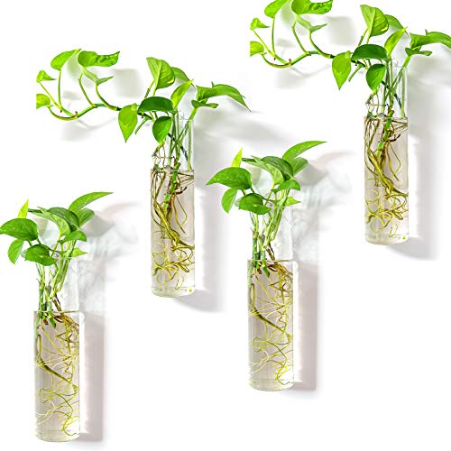 Kingbuy Wall-Mounted Plant Terrarium Propagation Station - 4 Cylinder Hanging Glass Tubes Planter for Hydroponic Plants, Indoor Wall Vases & Decorative Plant Holder Bathroom Office Living Room Decor - color: Long Cylinder