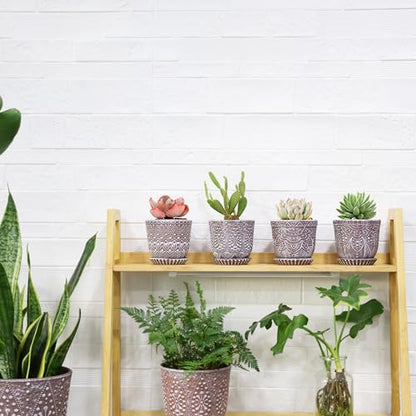 Gepege Ceramic Succulent Pots, 4 Inch Small Plant Pots with Drainage | Ceramic succulent pots with drainage holes, ceramic saucers and mesh pads, set of 4, ideal for cactus and succulents - color: Clay+white, size: 4 Inch - Set of 4