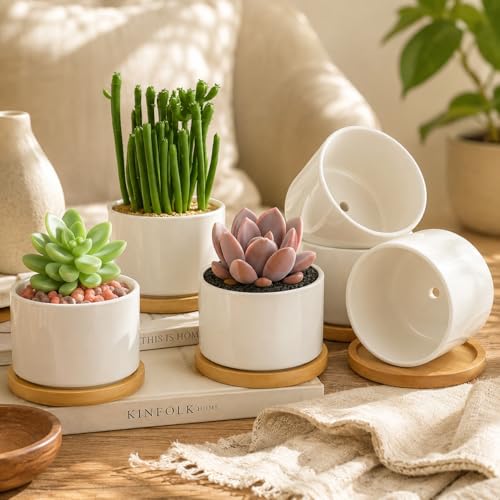 ZOUTOG Ceramic Succulent Pots,3.6 Inch Plant Pots,Succulent Planters with Drainage Hole & Bamboo Tray for Indoor Plants,White Small Flower Planters for Home,Office,Desk(6 Pack) - size: 6 pack