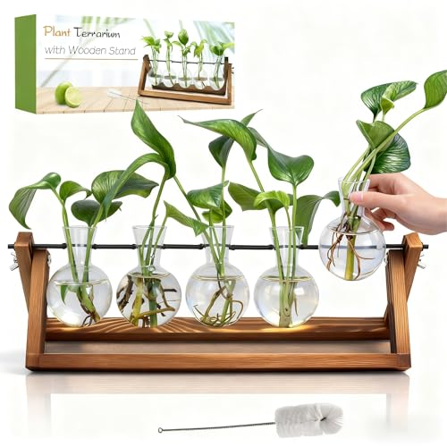 Plant Propagation Stations with Wooden Stand & 5 Glass Bulb Vases | Plant Terrarium for Indoor Plants, Home Office Desk Decor, Gardening Gifts for Women Mom, Birthday Gifts for Plants Lovers - size: 5 Bulb Vase