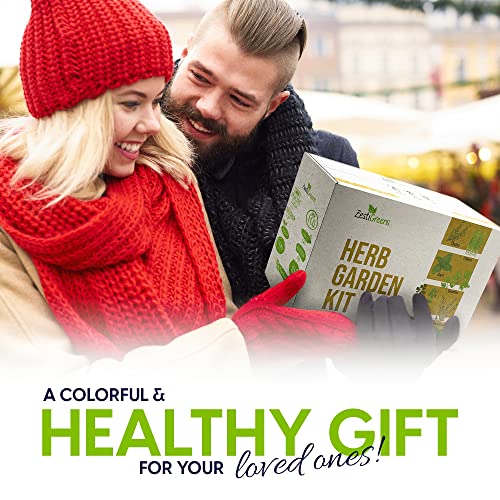 Herb Garden Starter Kit - 8 USA Culinary Herbs | Includes 8 culinary herbs, pots and soil for windowsill, kitchen or patio growing - color: 8 Herb