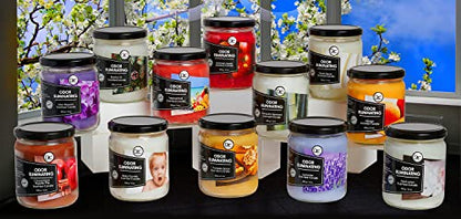 McIntosh Apple 2 Pack Odor Eliminating Highly Fragranced Candle - Eliminates 95% of Pet, Smoke, Food, and Other Smells Quickly - Up to 80 Hour Burn time - 12 Ounce Premium Soy Blend - color: Mcintosh Apple 2 Pack
