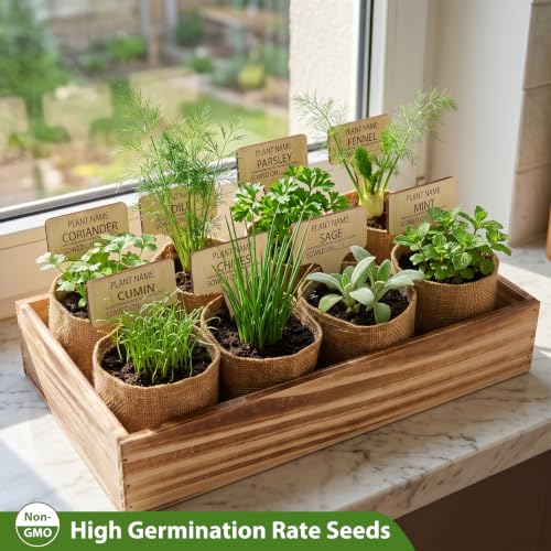 LUOJIBIE Herb Garden Kit Indoor, Herb Growing Kit with Seeds & Tools, Birthday Gifts for Women Men Mom Dad Girls Boys, House Warming Gifts New Home, Anniversary Wedding Gifts, Kitchen Décor