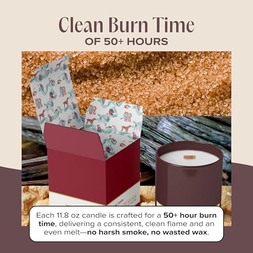 Celebrate the Season Pet-Friendly Scented Candle – Cookie Butter, Brown Sugar & Vanilla Fragrance - Coconut Soy Wax Candle with Wooden Wick, 50-Hour Burn Time, Made in USA, 11.8 oz - color: Celebrate the Season