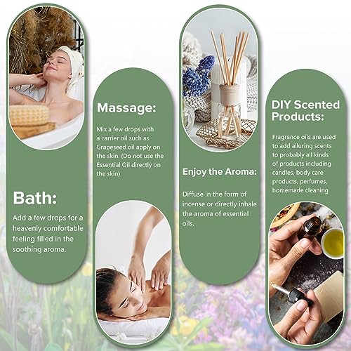 PHATOIL Essential Oil Set for Skin Care, Aromatherapy, Diffuser | 100% Natural and Pure, Gift Set Ideal for Massage, Home, DIY Candle Soap Making, 12Pcs x 5ml