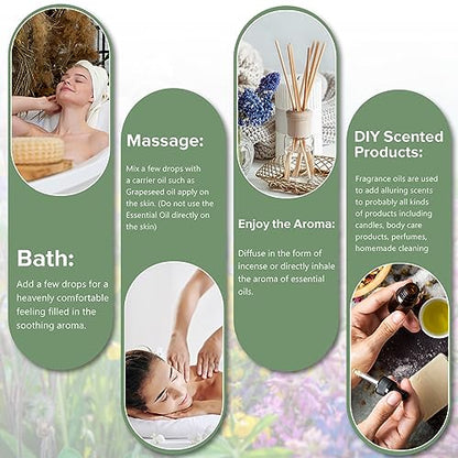 PHATOIL Essential Oil Set for Skin Care, Aromatherapy, Diffuser | 100% Natural and Pure, Gift Set Ideal for Massage, Home, DIY Candle Soap Making, 12Pcs x 5ml
