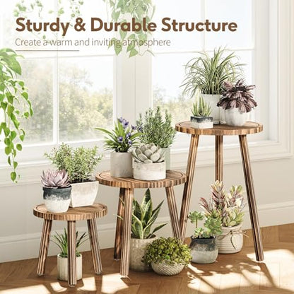 Plant Stand Indoor - 3-Pack Taller Single Wood Plant Stand for 6-12 Inch Pots, Mid-Century Modern Plants Stool for Large Plants, Small Round Wooden Planter Table for Living Room, Balcony