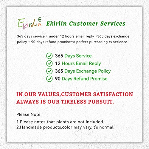 Ekirlin 5.6 Inch Indoor Plant Pot, Natural Cement Grey Garden Planters, Outdoor Concrete Flower Plant Pots with Drain Hole Saucer Tray, Modern Succulents Containers for Home Decor & Garden Plants - size: 5.6 inch