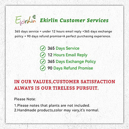 Ekirlin 5.6 Inch Indoor Plant Pot, Natural Cement Grey Garden Planters, Outdoor Concrete Flower Plant Pots with Drain Hole Saucer Tray, Modern Succulents Containers for Home Decor & Garden Plants - size: 5.6 inch