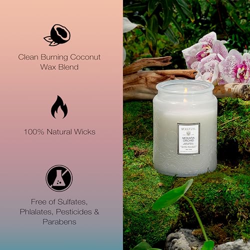 Voluspa Mokara Orchid Large Scented Candle Jar 18 Oz, 100 Hr Burn | Vegan Coconut Wax Blend With Natural Wick, USA Poured Gift for Hosts, Fragrance Lovers, Relaxed Rooms & Daily Ambience Use - color: 7 - Mokara Orchid