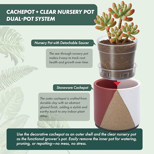 D'vine Dev 2-Pack Cachepot with Clear Pot, 3.5 in, Crimson Dune, 93-V-A-4 | Dual-Pot System, Root Visibility, Bottom Watering Support, Enhanced Drainage, Artistic Stoneware Design, Easy Plant Care - color: Crimson Dune, size: 3.5” Cachepot + 3“ Clear Grow