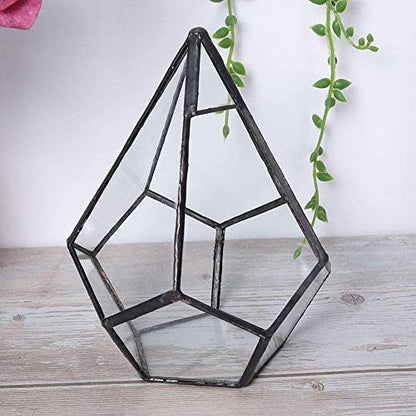 TOPINCN Glass Terrarium Stylish Geometric Shape Planter Succulent Holder Plants Container Flower Pot Tabletop Landscape Decor