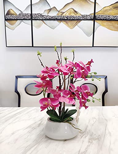 W&W Artificial Orchid Plants and Flowers with Vase, Fake Faux Orchid in Ceramic Pot,17”, Fuchsia - color: Fuchsia 02
