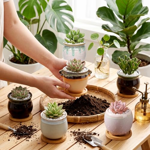 3.5 Inch Succulent Pot with Drainage,Planting/Flower Pots | Small Planter Pot for Mini Plant Ceramic Flowing Glaze Base Serial Set with Holes,Flower Pots with Tray for Home - size: 3.5inch-6pack