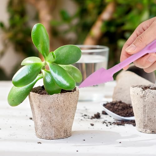 M METERXITY 2-Set Succulent Tools, Plastic 2-in-1 Mini Garden Shovel Hand Succulent Transplanting Tools Garden Shovel Transplant Trowel for Planting/Digging/Aerating/Sowing [Purple] - color: Purple