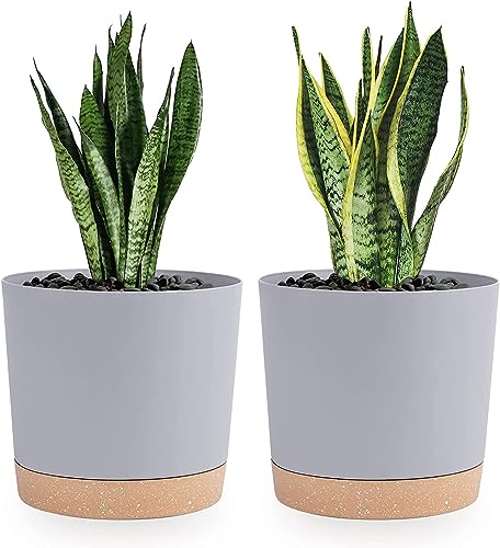 QCQHDU 8 inch Plant Pot, 2 Pack Planters for Indoor Plants with Drainage Holes & Saucer, Outdoor Flower Pots Home Garden Modern Decor - color: Light Grey, size: 8 inch
