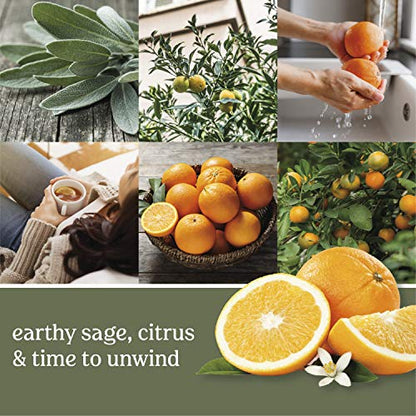 Yankee Candle Scented Wax Melts for Wax Warmers, Candle-Wax Melts Refills, Long Lasting Home Fragrance, Sage & Citrus, 6 Count (Pack of 36) - color: Medium Green