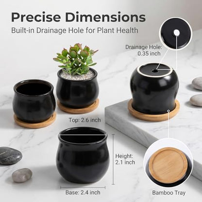 SHECIPIN 2 Pack Succulent Pots, 2.5 Inch Mini Ceramic Pots for Flower or Cactus Plants with Drainage Hole,Plants Not Included (Black) - color: 2 Pack Black Mini Pots