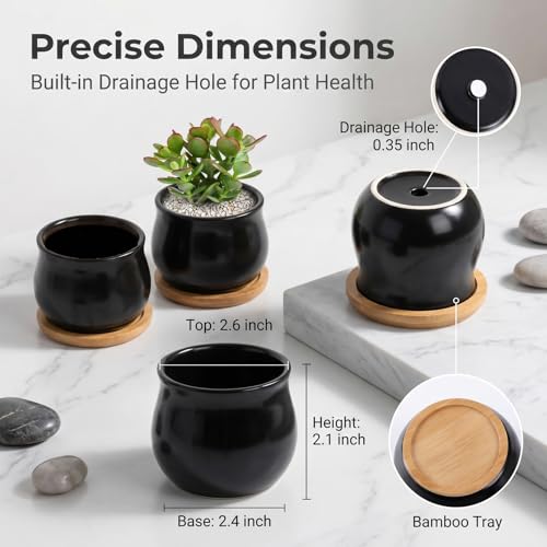 SHECIPIN 2 Pack Succulent Pots, 2.5 Inch Mini Ceramic Pots for Flower or Cactus Plants with Drainage Hole,Plants Not Included (Black) - color: 2 Pack Black Mini Pots