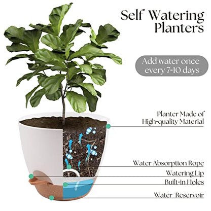 TYMENSH Plant Pots 12/10/9 Inch Set of 3, Self Watering Planters with Drainage Holes and Water Reservoir, Heavy Duty Plastic Flower Pots for Indoor Outdoor Plants, White
