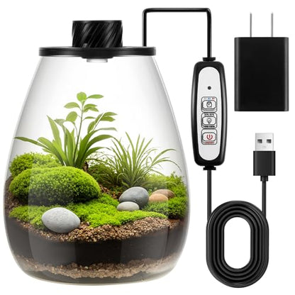 Glass Plant Terrarium Kit with LED Grow Light, Desk Terrarium for Venus Fly Trap, Succulents, Moss & Miniature Garden, Borosilicate Glass Desktop Planter for Home Office(6.9 x 7.8 Inch) - size: 6.9 x 7.8 Inch