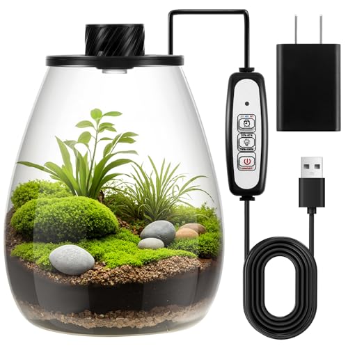 Glass Plant Terrarium Kit with LED Grow Light, Desk Terrarium for Venus Fly Trap, Succulents, Moss & Miniature Garden, Borosilicate Glass Desktop Planter for Home Office(6.9 x 7.8 Inch) - size: 6.9 x 7.8 Inch