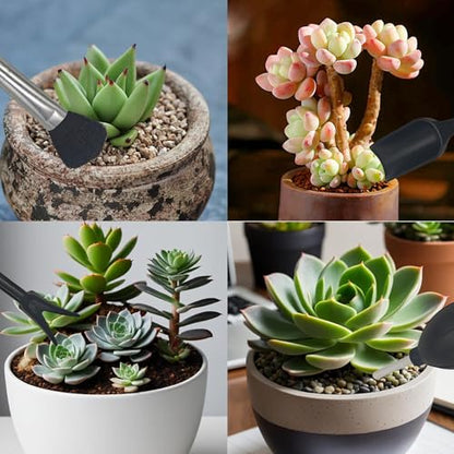 15Pcs Succulent Tools Kit with Organizer Bag Plant Repotting Mat Mini Garden Transplanting Tools for Indoor Outdoor Miniature Plant Care