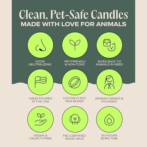 Snuggle Season Pet-Friendly Scented Candle – Balsam, Tonka Bean & Evergreen Fragrance - Coconut Soy Wax Candle with Wooden Wick, Approx. 50-Hour Burn Time, Made in USA, 11.8 oz - color: Snuggle Season