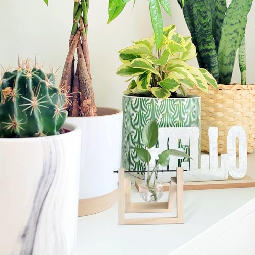 10pcs Plant Propagation Stations Rack - Tabletop Plant Terrarium Hanger Rod - Replacement Hydroponic Water Vase Stand for Home Office 10cm - size: 10.00X0.50X0.50CM