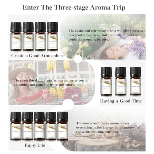 EUQEE 12 Pcs Fragrance Oils Gift Set for Aromatherapy | Essential Oil for Diffuser, Candle Making, Soap Making, Humidifier - color: 12pcs Fragrance Set