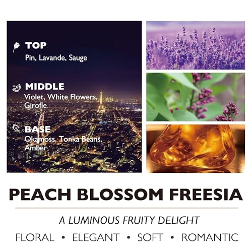HomeLights Highly Scented Soy Candles Big 33.3 oz for Home. 3 Cotton Wicks, Smokeless Long Lasting 130 hrs in Midnight Lights. 5x6, Great Gift for Women & Men - color: Midnight Lights