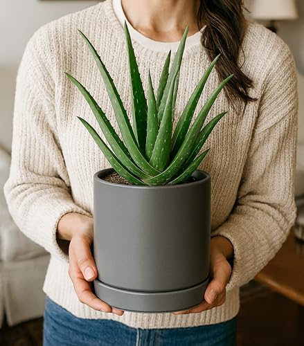 D'vine Dev 2-Pack Ceramic Pots with Saucers, Grey, 4/6 in, 94-G-S-3 | Glazed Ceramic, Drainage Hole, Perfect-Fit Saucer, Sleek Cylinder Shape, High Temperature Fired, Elegant Home Accent - color: Gray, size: Small